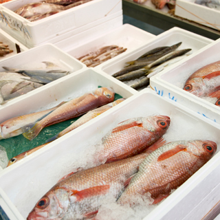 鮮魚